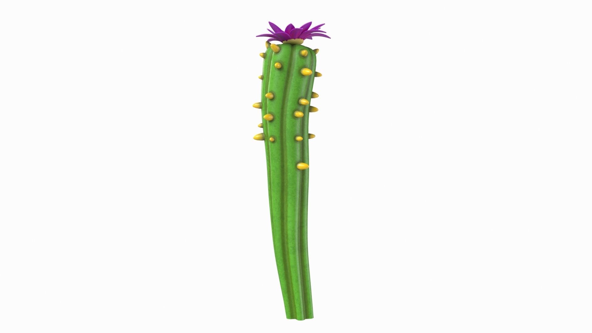 Cartoon cactus  3D model_1