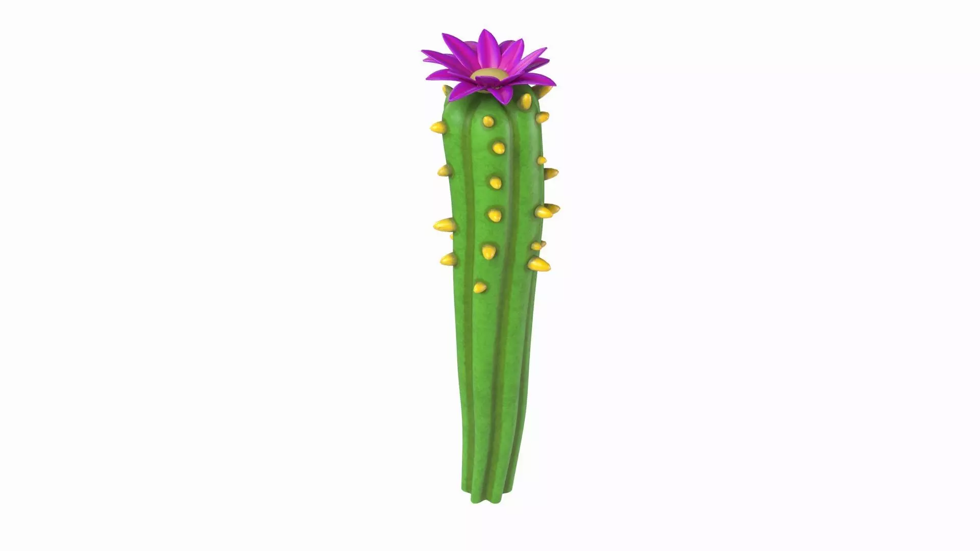 Cartoon cactus  3D model_0