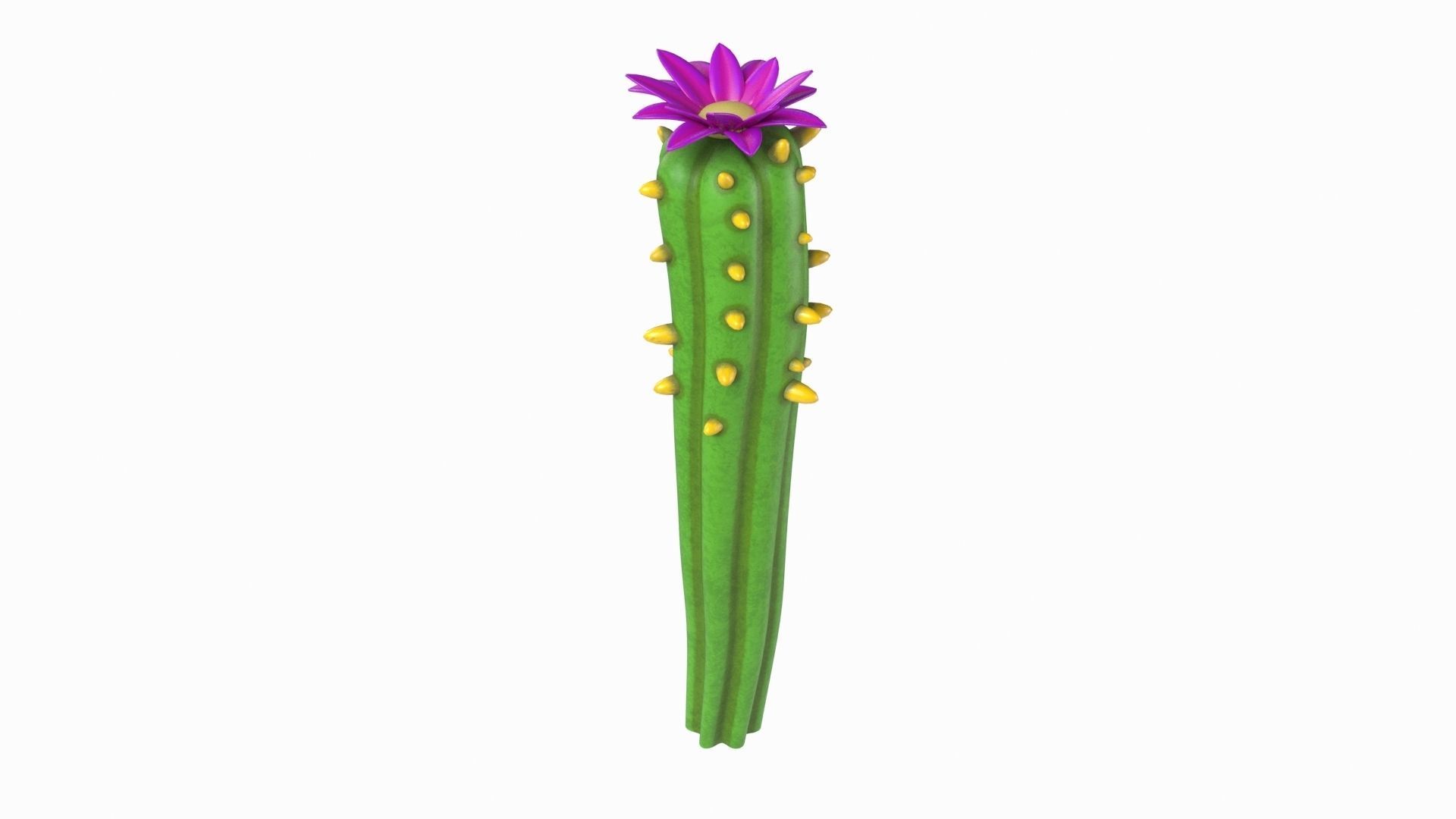 Cartoon cactus