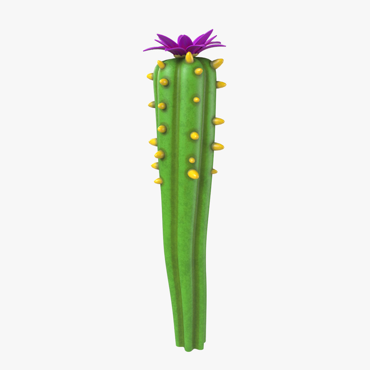 Cartoon cactus  3D model_4