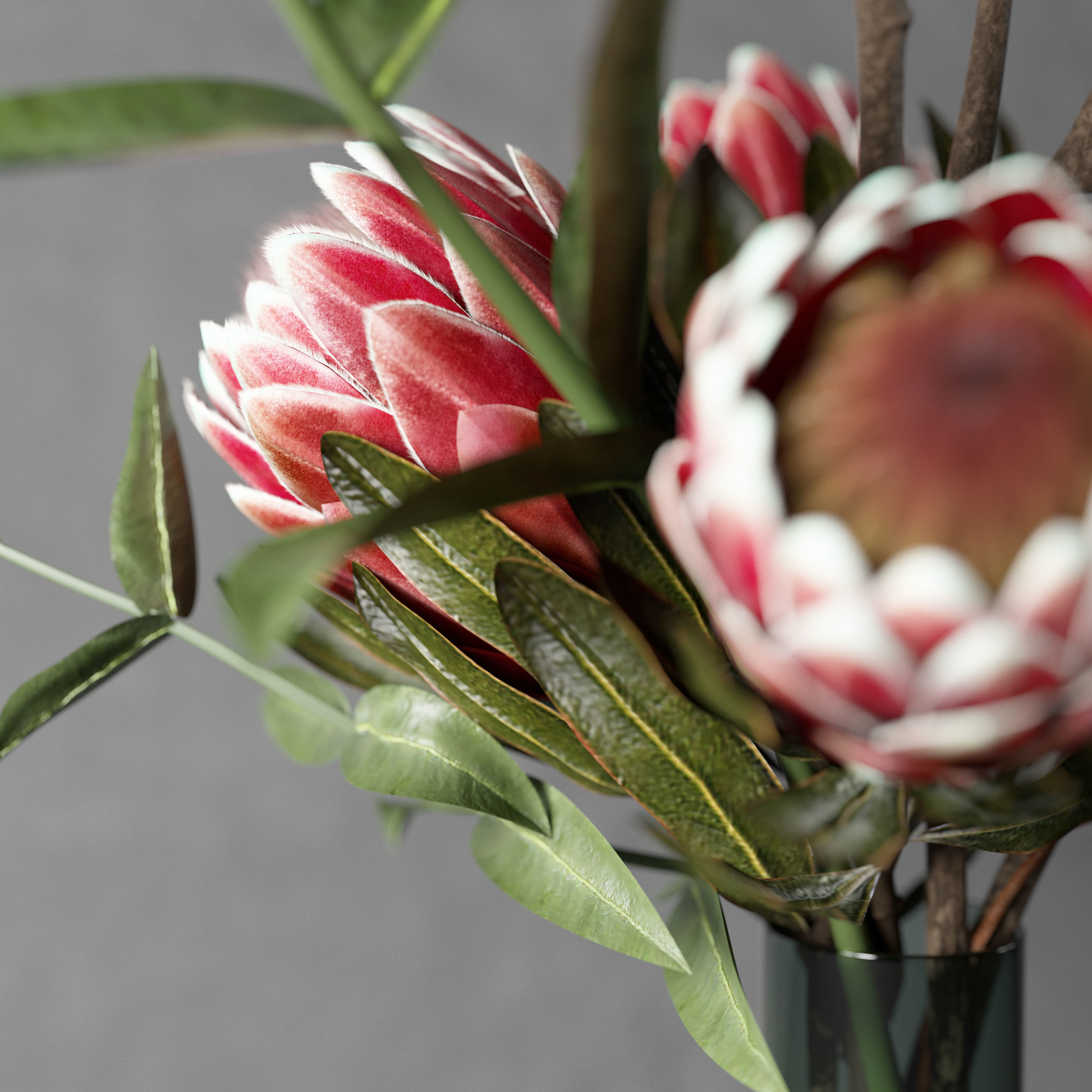 Bouquet of flowers with protea and eucalypt 3D model_4