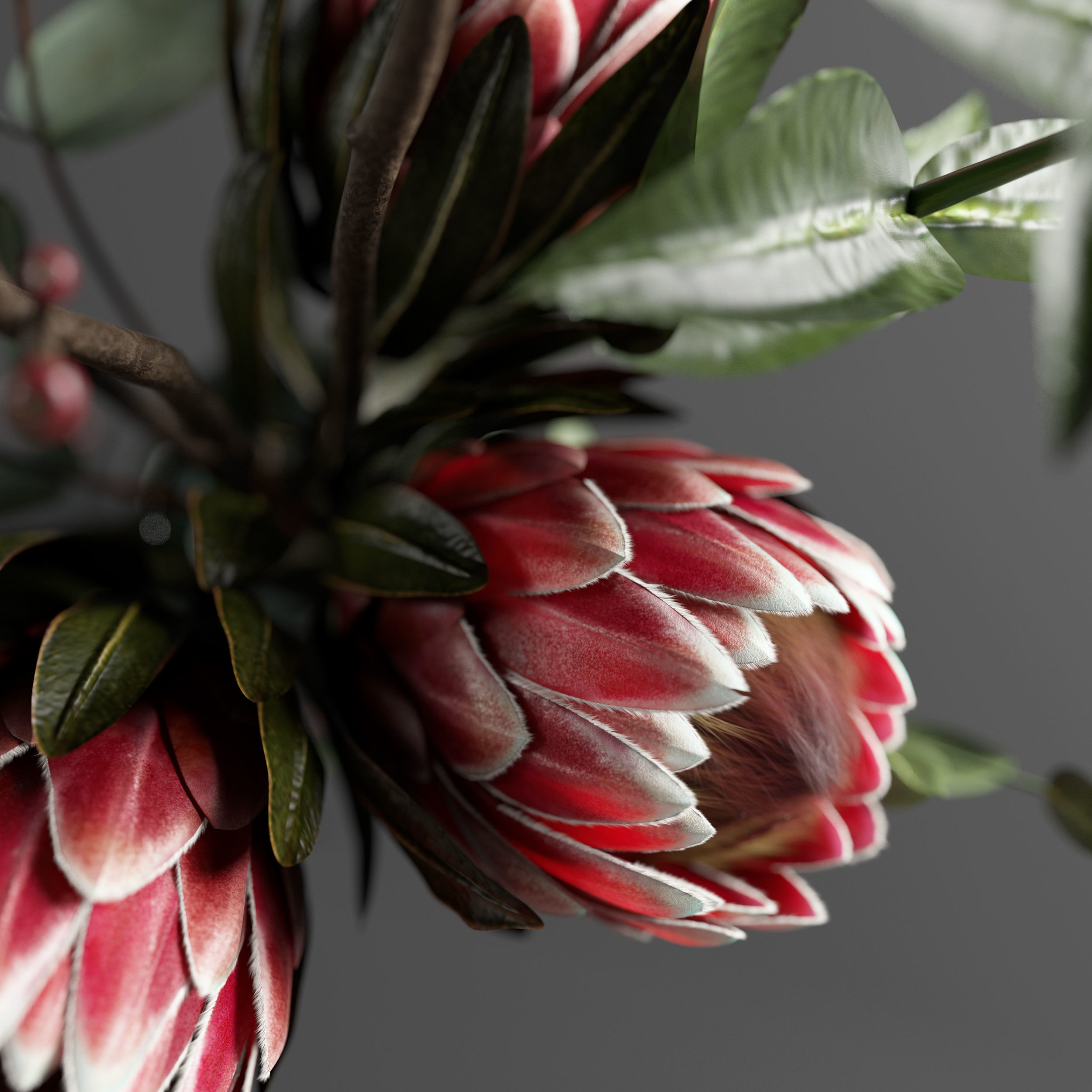 Bouquet of flowers with protea and eucalypt 3D model_3