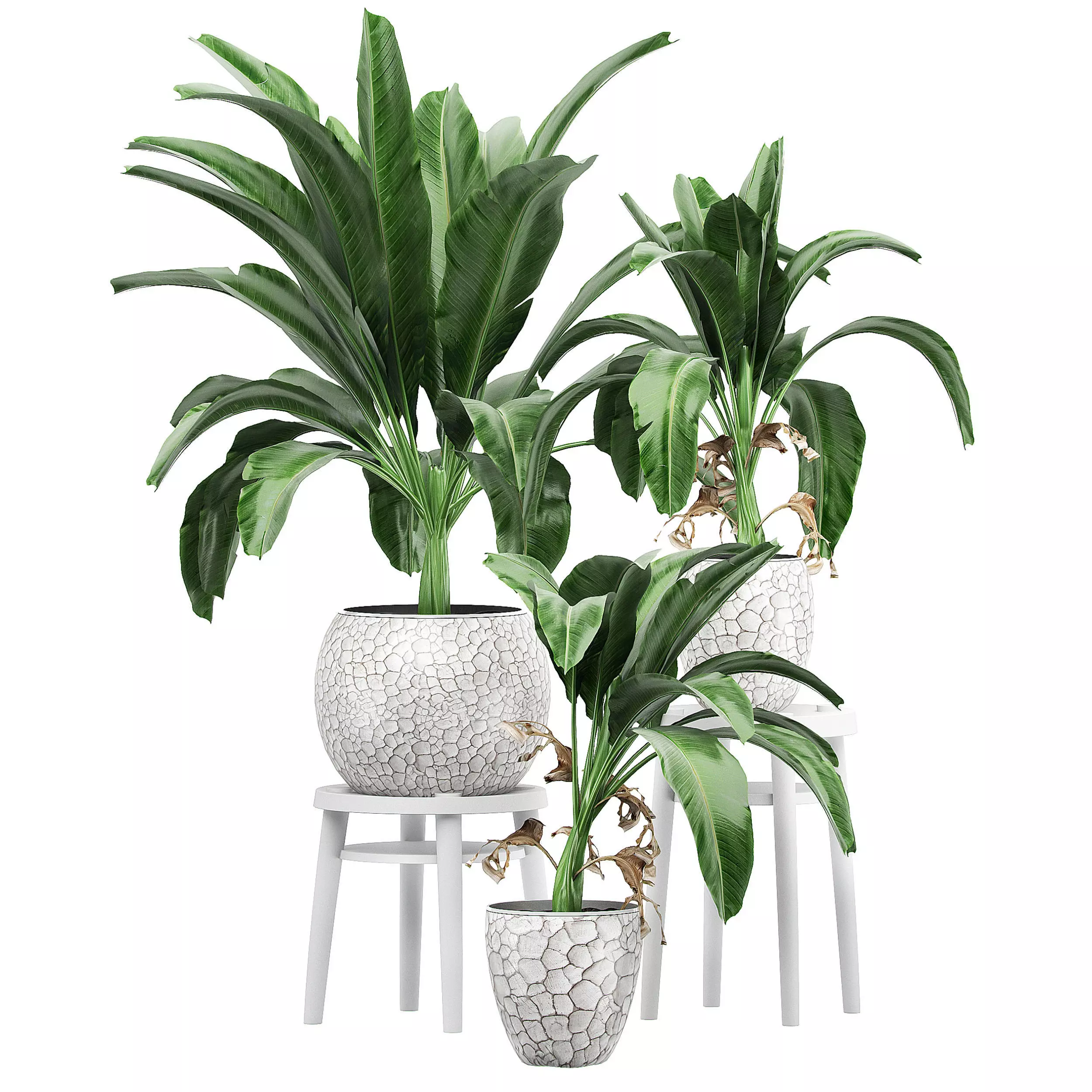 Flower Pack 129 3D model