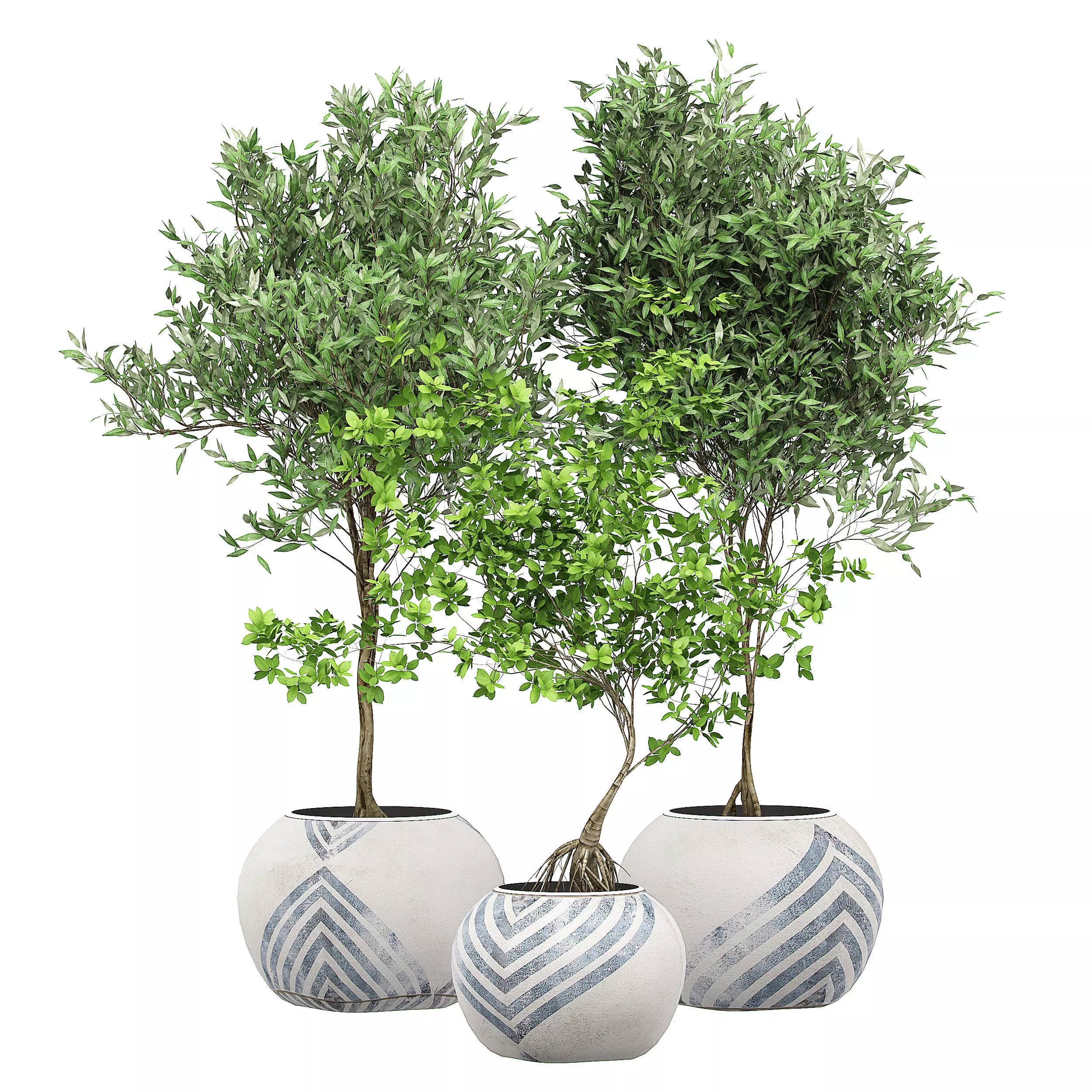 Flower Pack 130 3D model