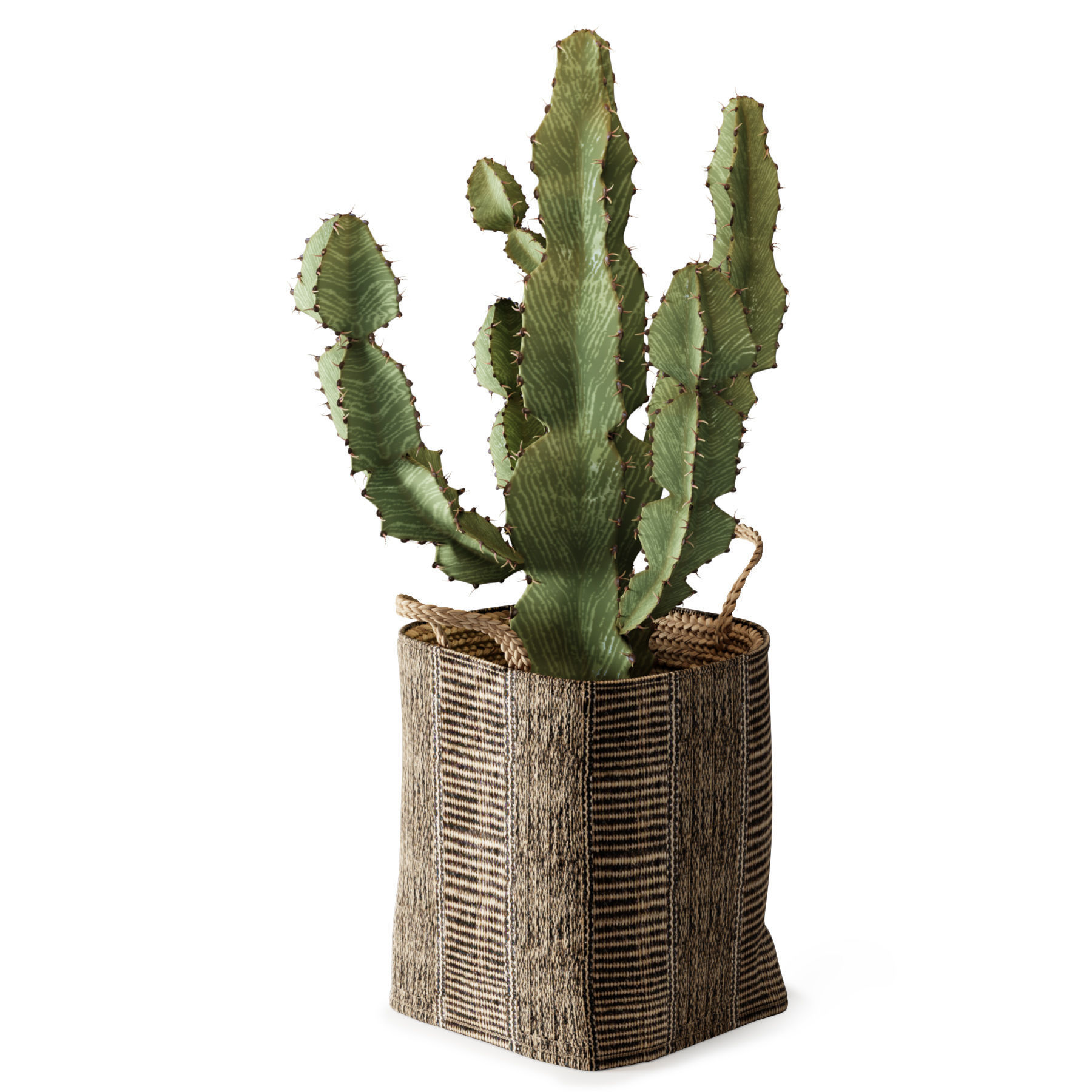 Baskets Set 01 3D model_1