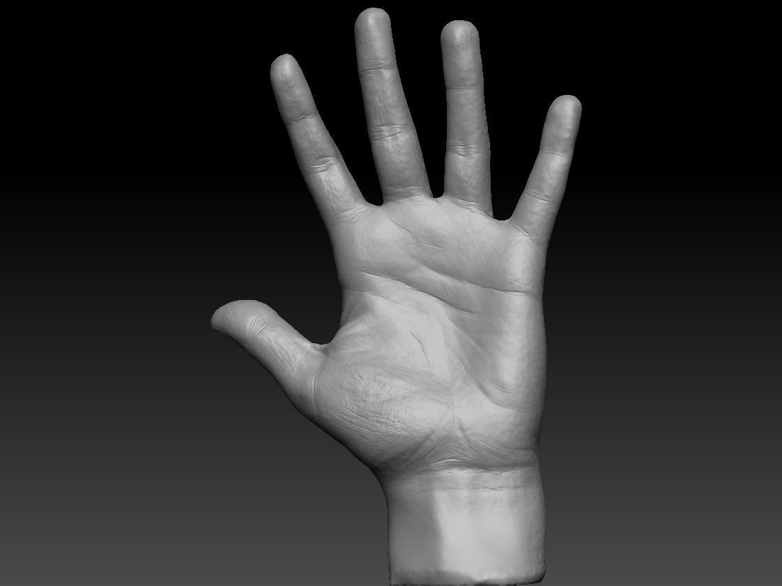 Realistic hand 3D print model_1
