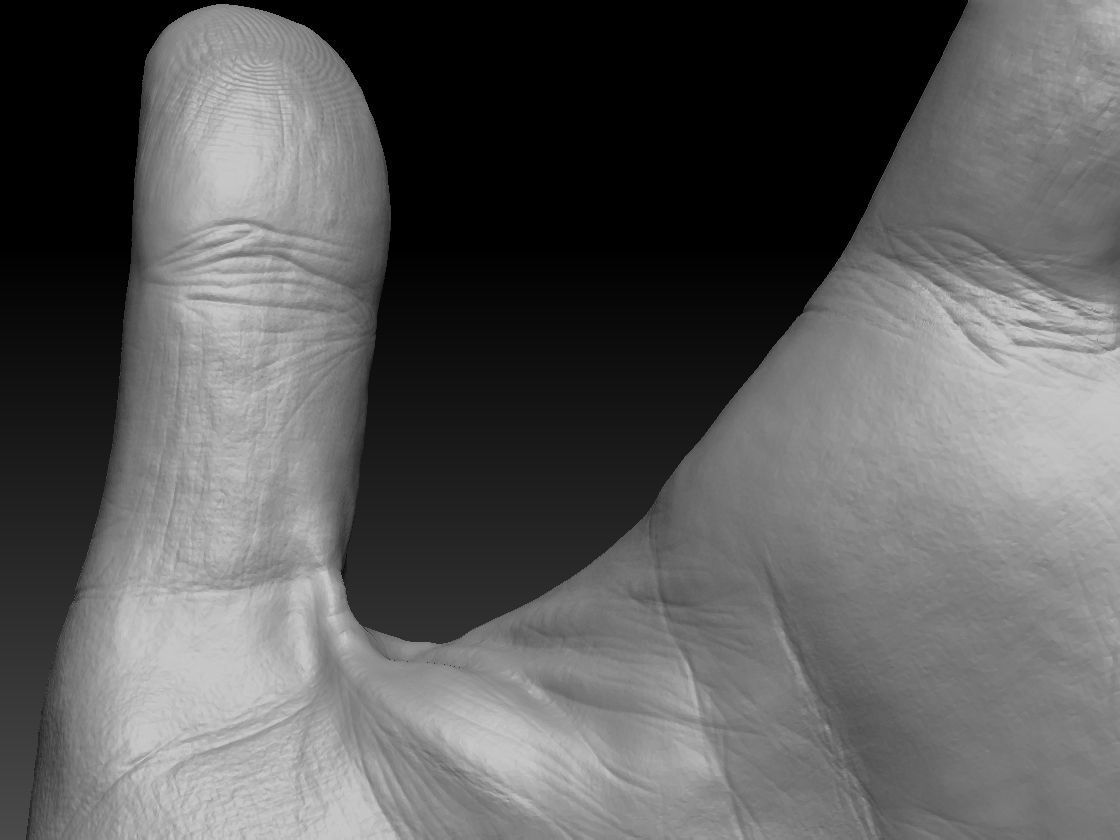 Realistic hand 3D print model_6