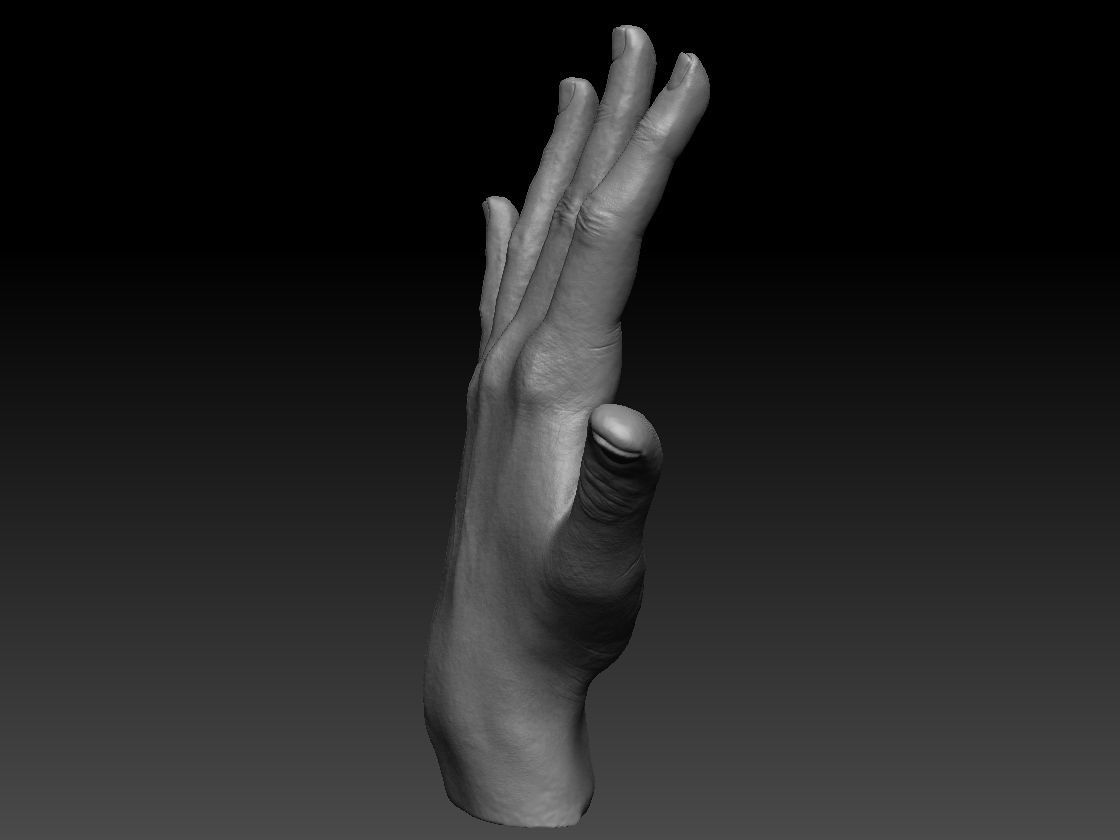 Realistic hand 3D print model_2
