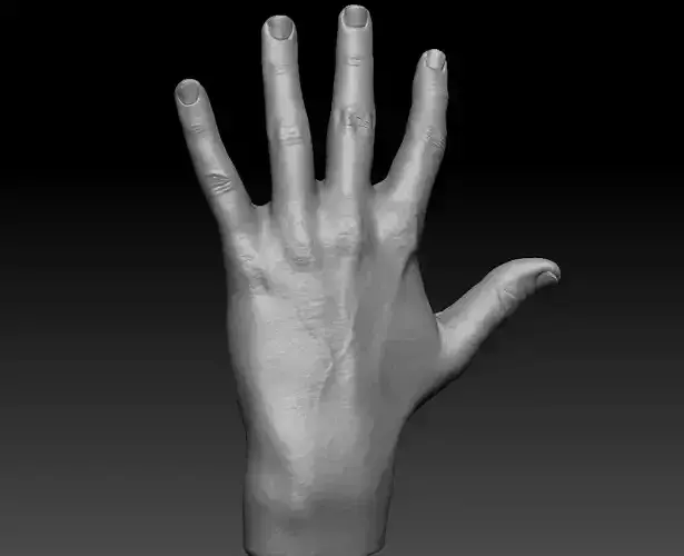 Realistic hand 3D print model