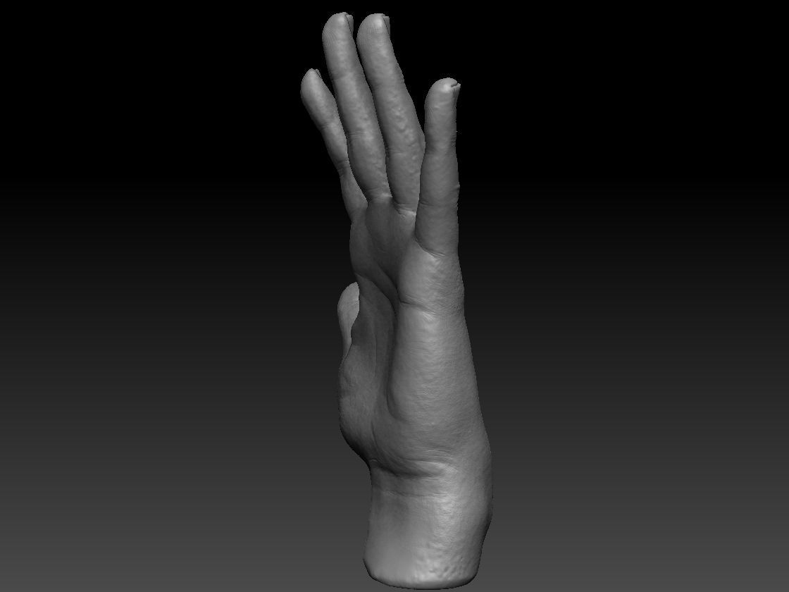 Realistic hand 3D print model_3