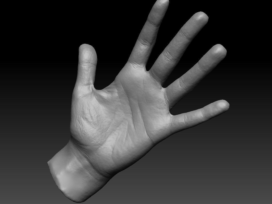 Realistic hand 3D print model_7
