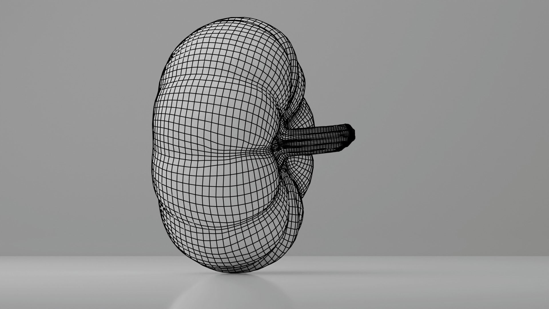 Photoreal Decorative Pumpkin Scan 01 3D model_22