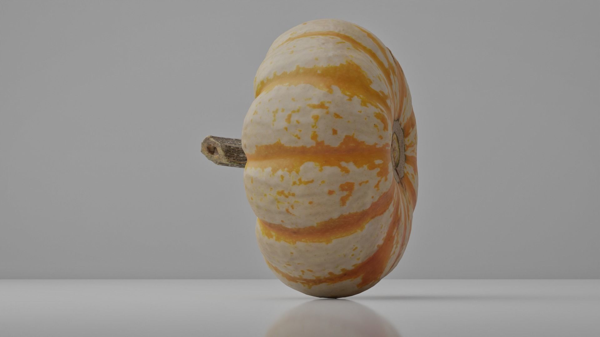 Photoreal Decorative Pumpkin Scan 01 3D model_10