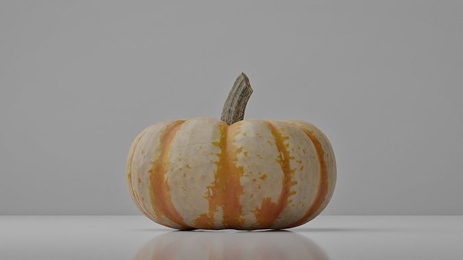 Photoreal Decorative Pumpkin Scan 01 3D model 5