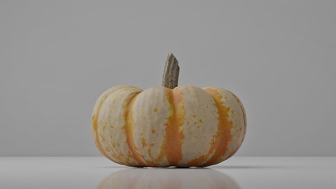 Photoreal Decorative Pumpkin Scan 01 3D model 6