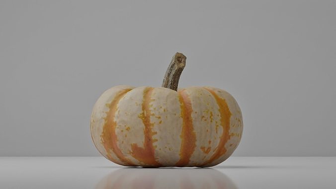 Photoreal Decorative Pumpkin Scan 01 3D model 4