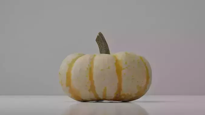 Photoreal Decorative Pumpkin Scan 01 3D model