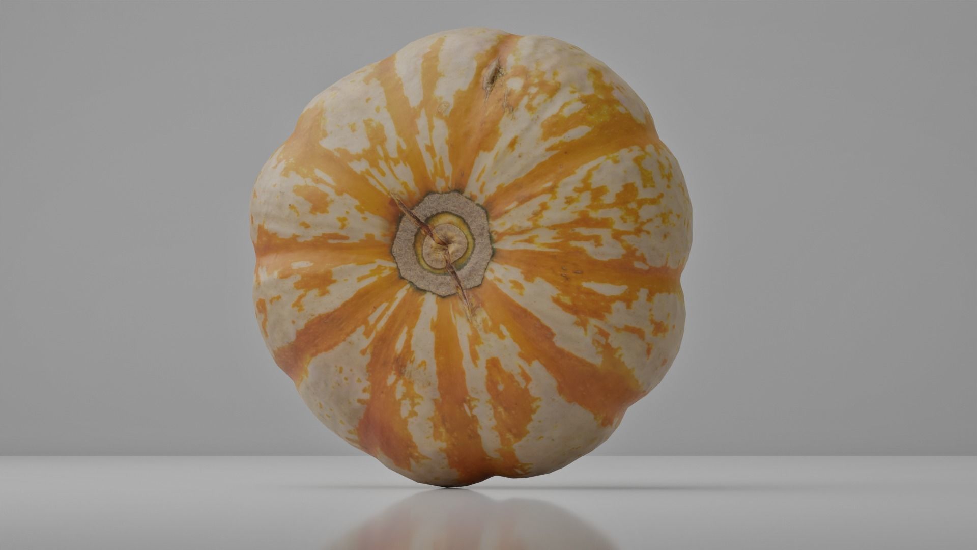 Photoreal Decorative Pumpkin Scan 01 3D model_8