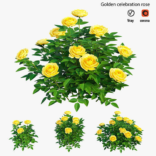 Golden celebration rose  3D model