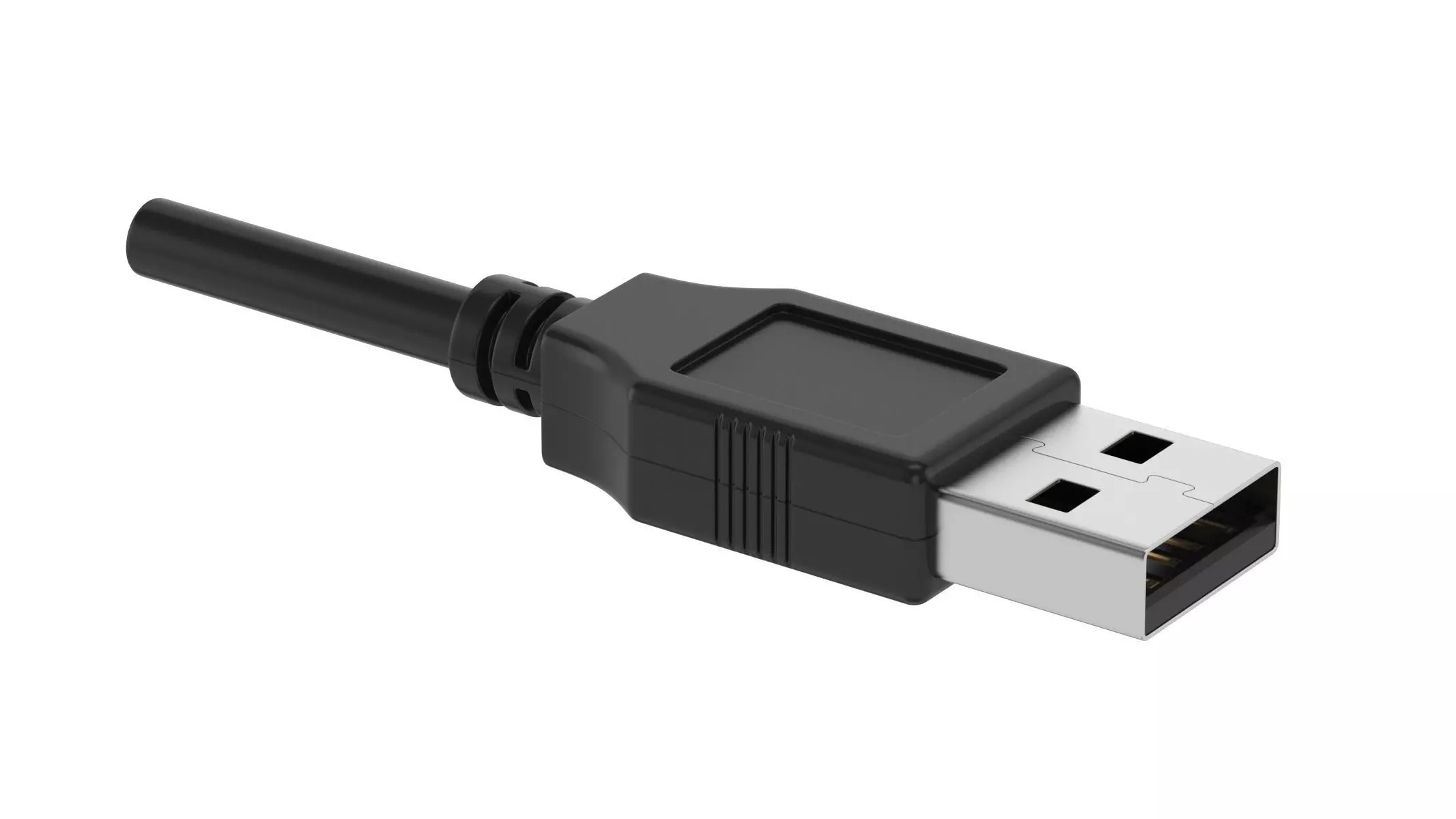 USB Type A Male 3D model_0