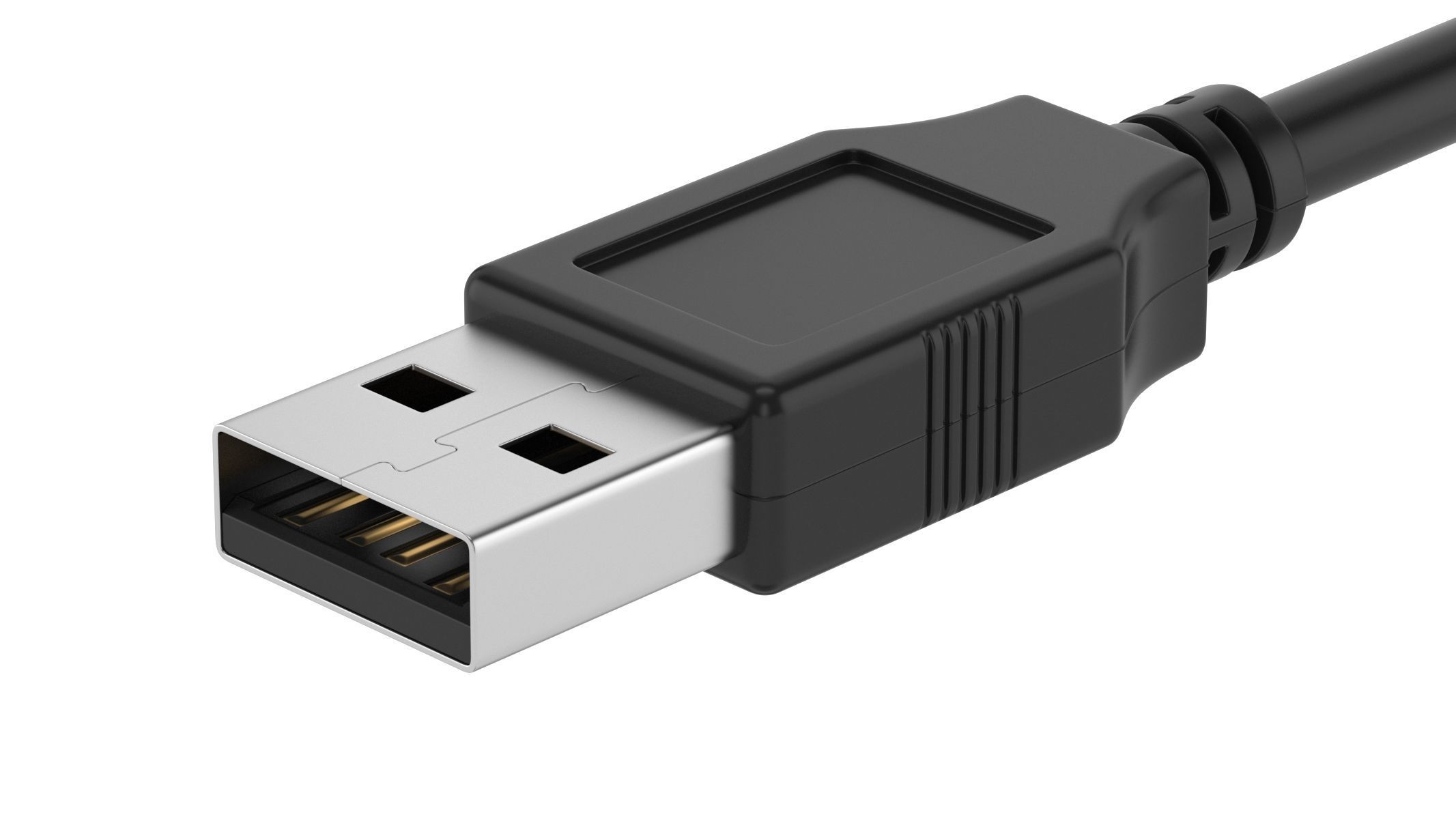 USB Type A Male 3D model_2