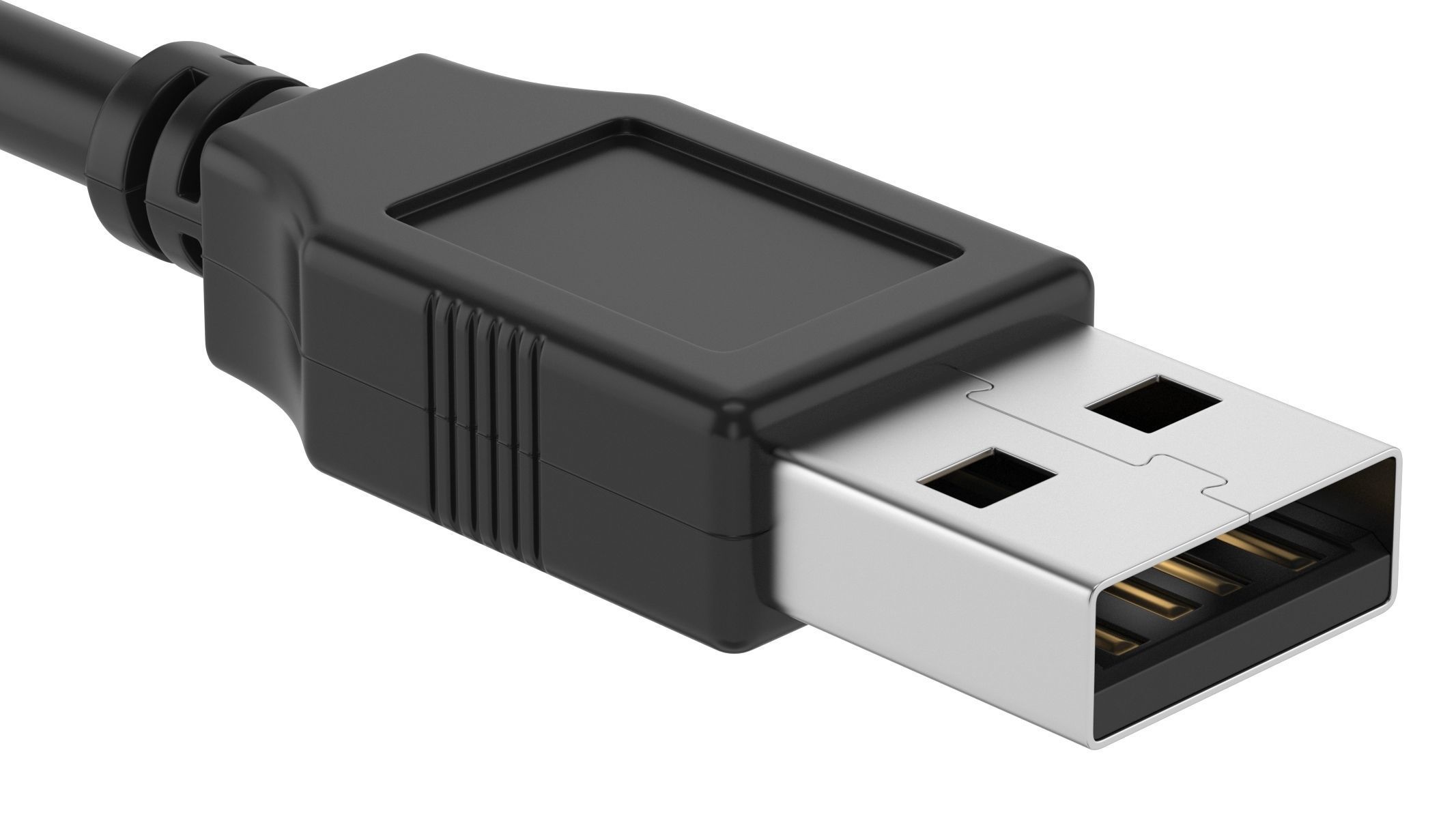 USB Type A Male 3D model_4