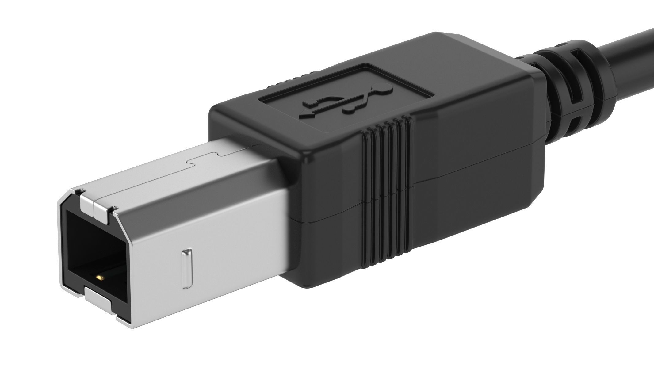 USB Type B Male 3D model_2