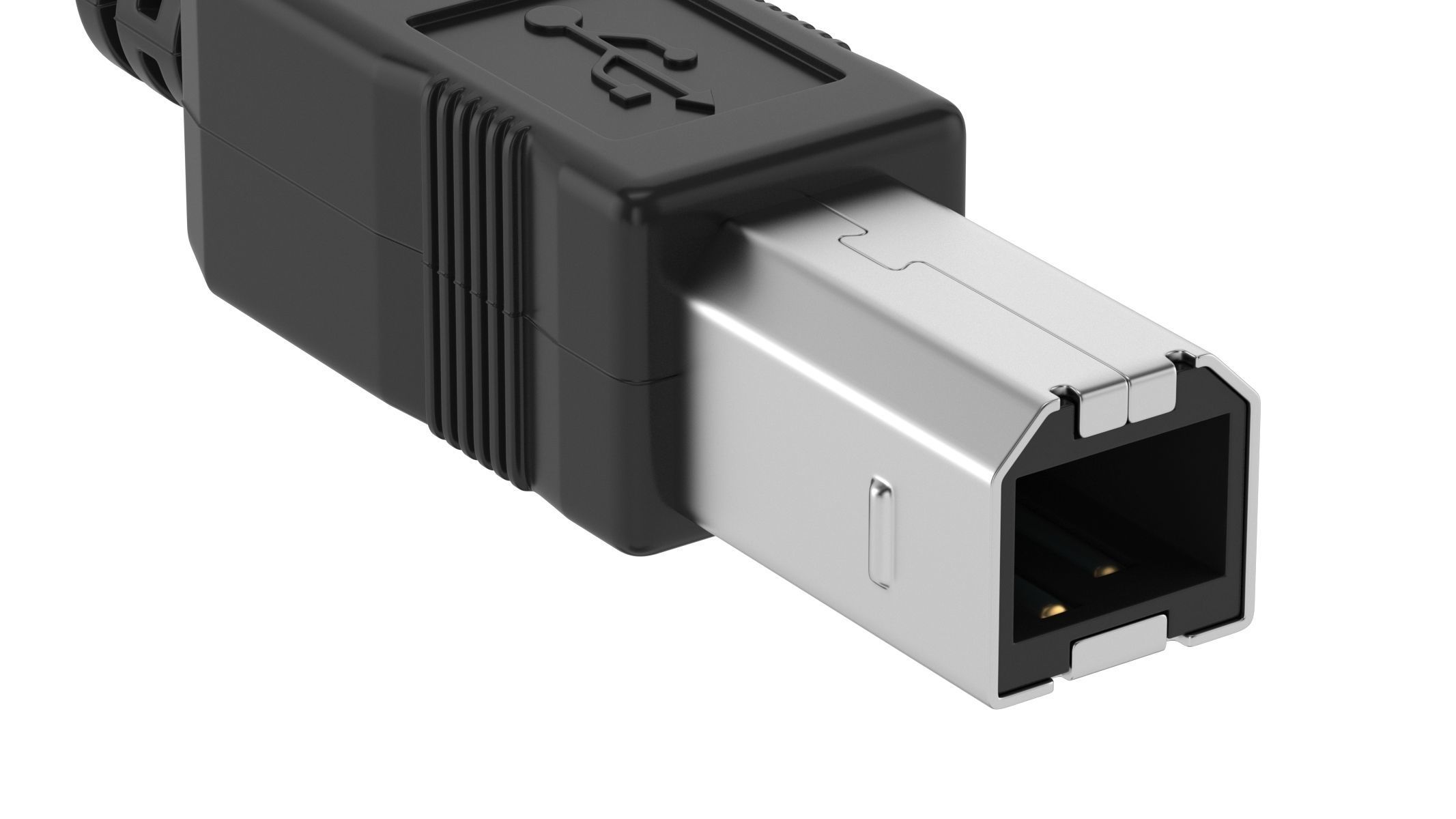 USB Type B Male 3D model_4