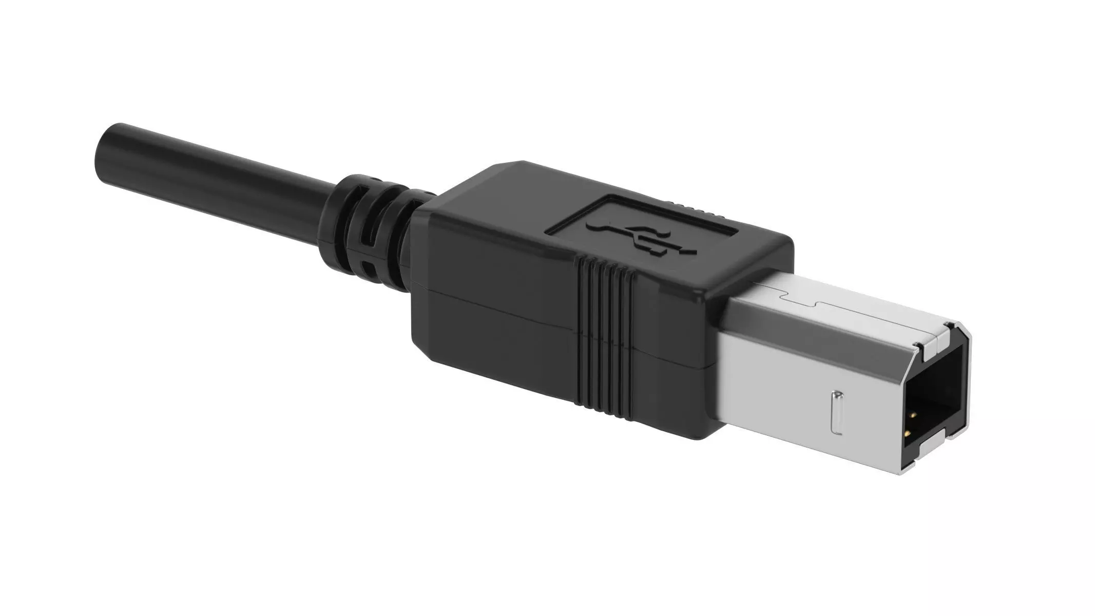 USB Type B Male 3D model_0