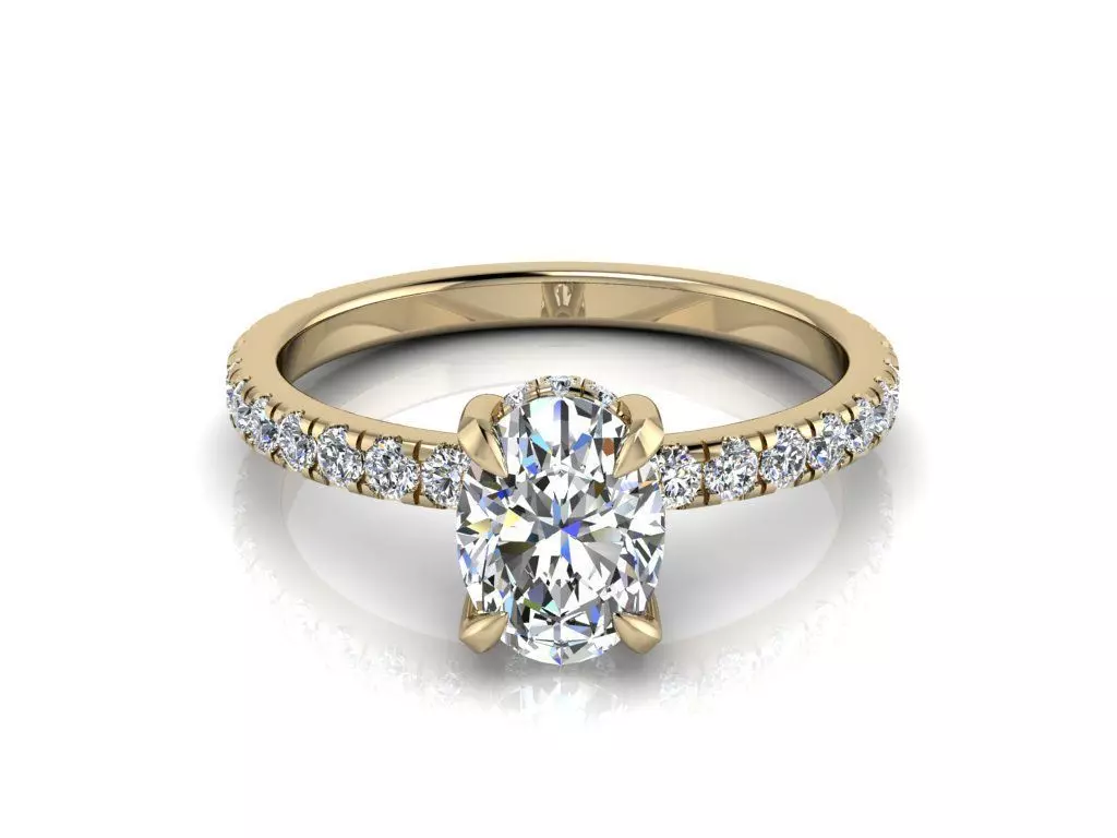 Engagment Jewelry Ring 207 3D print model