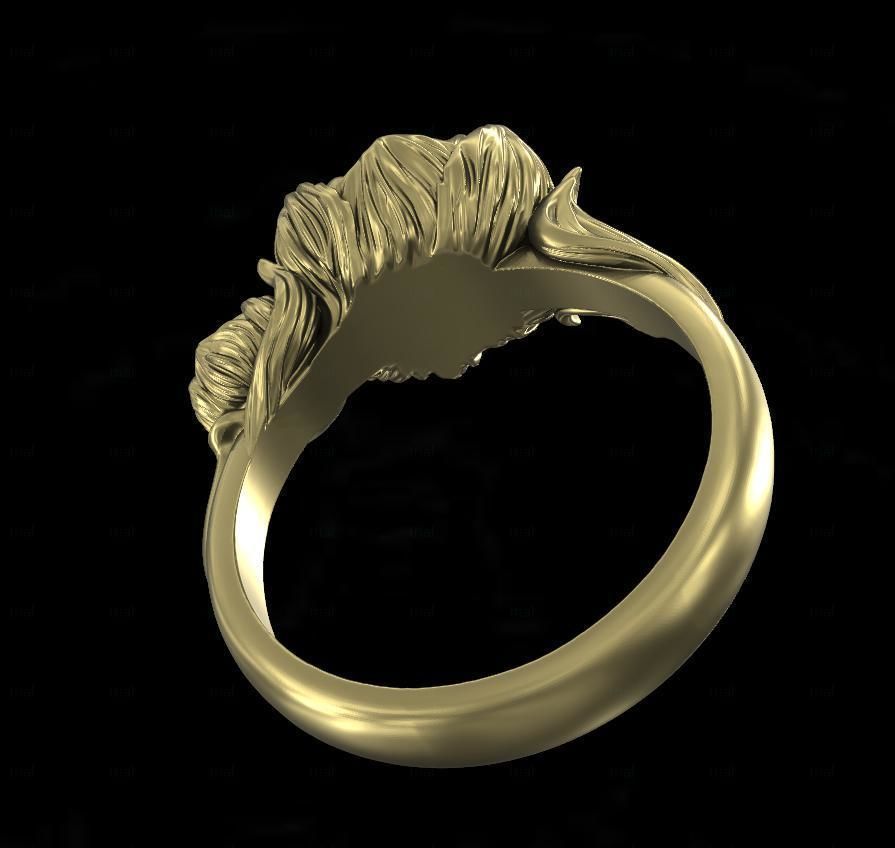 Ring pion 3D print model_3