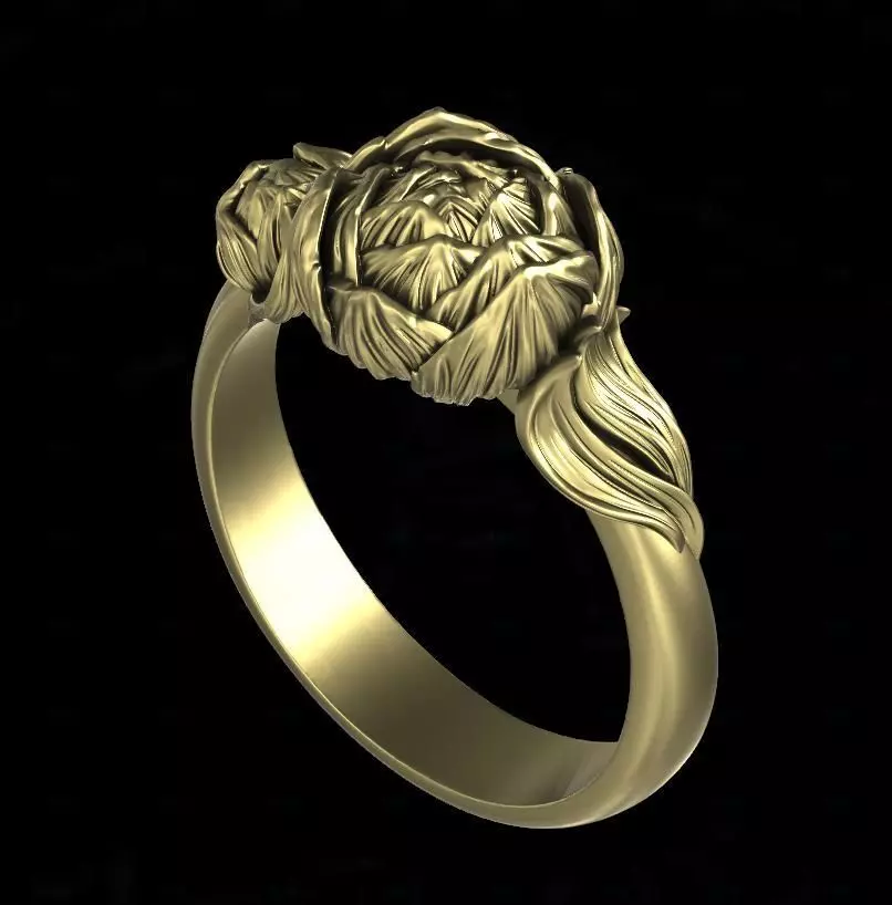 Ring pion 3D print model_0