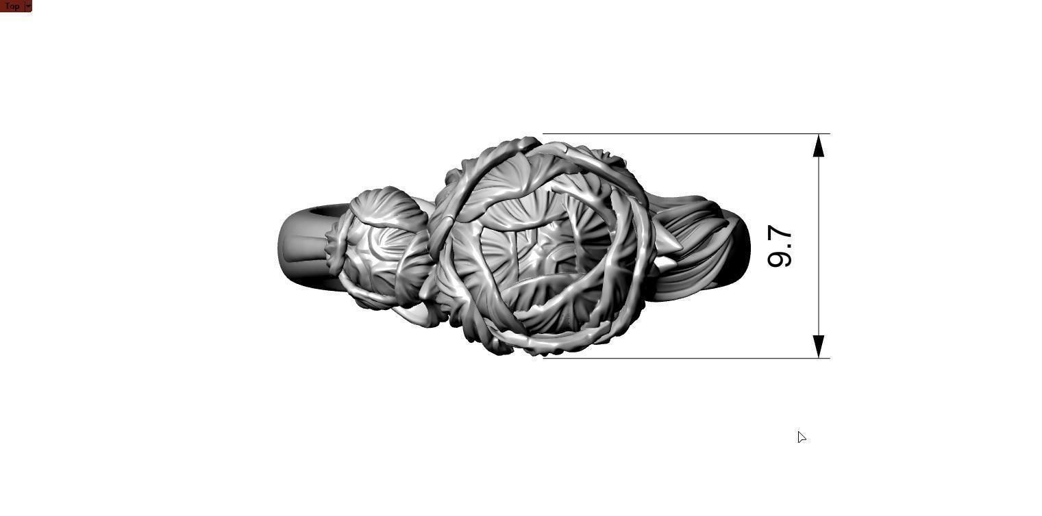 Ring pion 3D print model_4