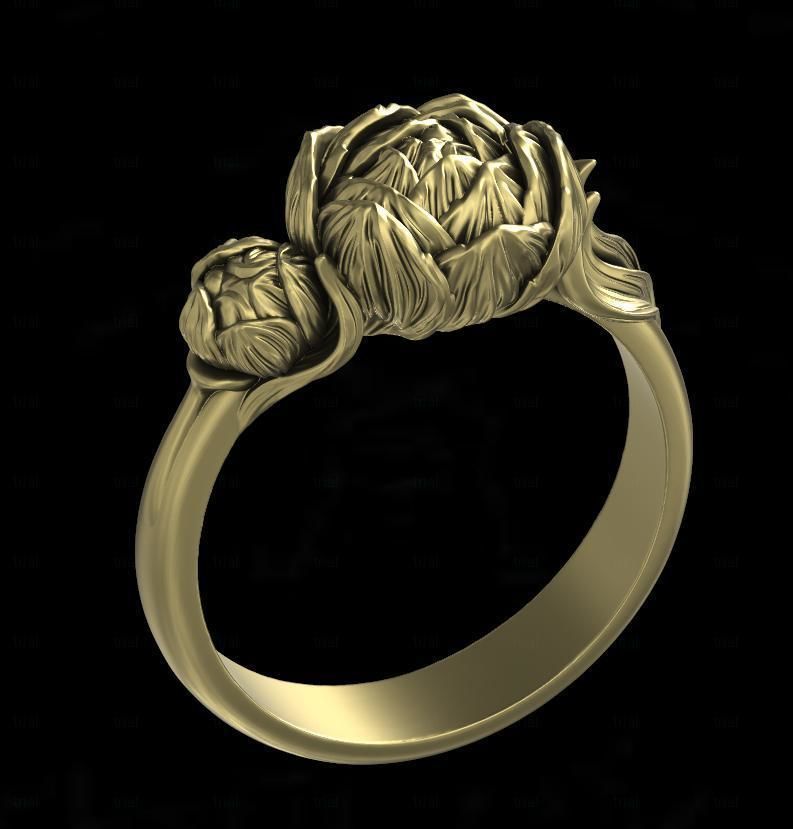 Ring pion 3D print model_2
