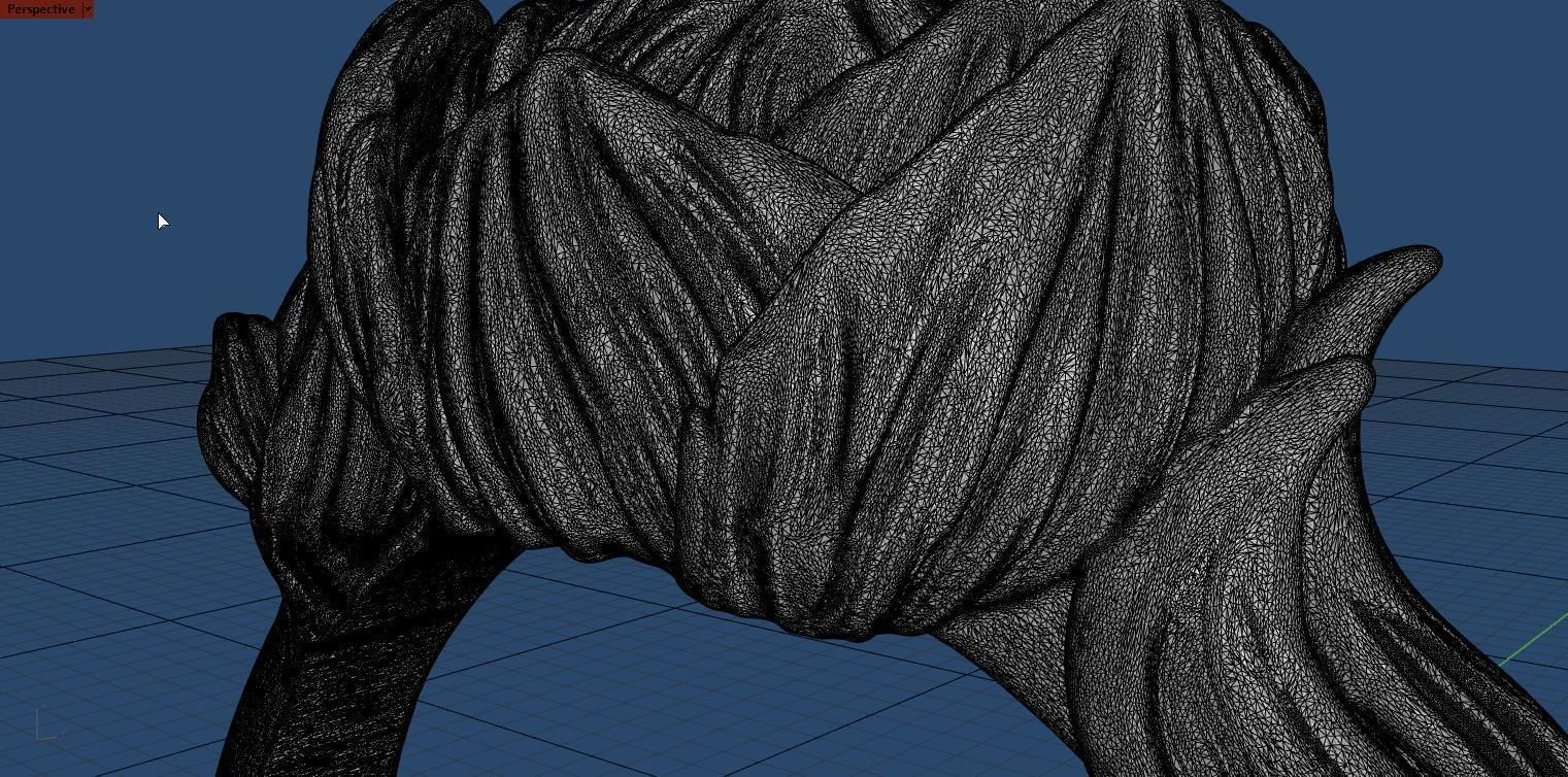 Ring pion 3D print model_6