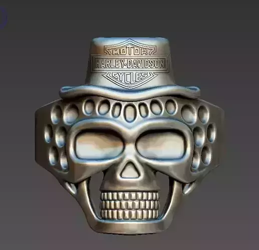 harley davidson skull