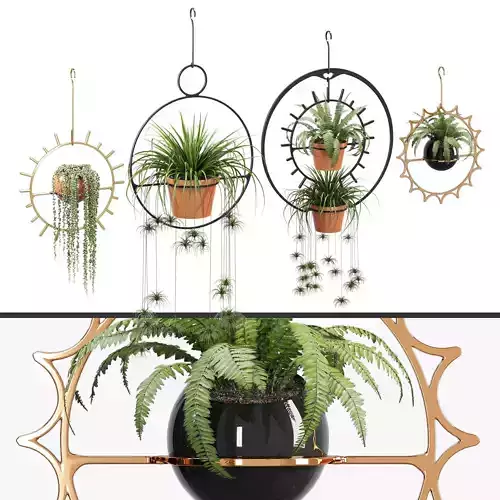 Starburst planter with fern in shape of sun
