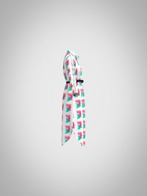 Aster belted button-detailed striped cotton-poplin Low-poly 3D model_1