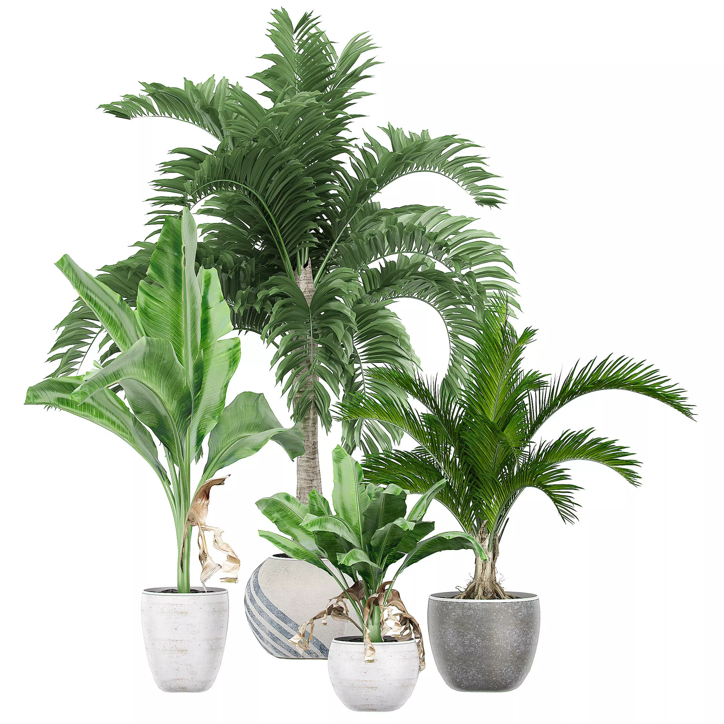 Flower Pack 131 3D model