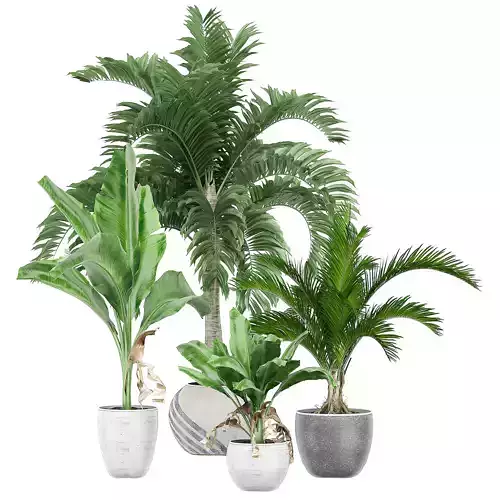 Flower Pack 131 3D model