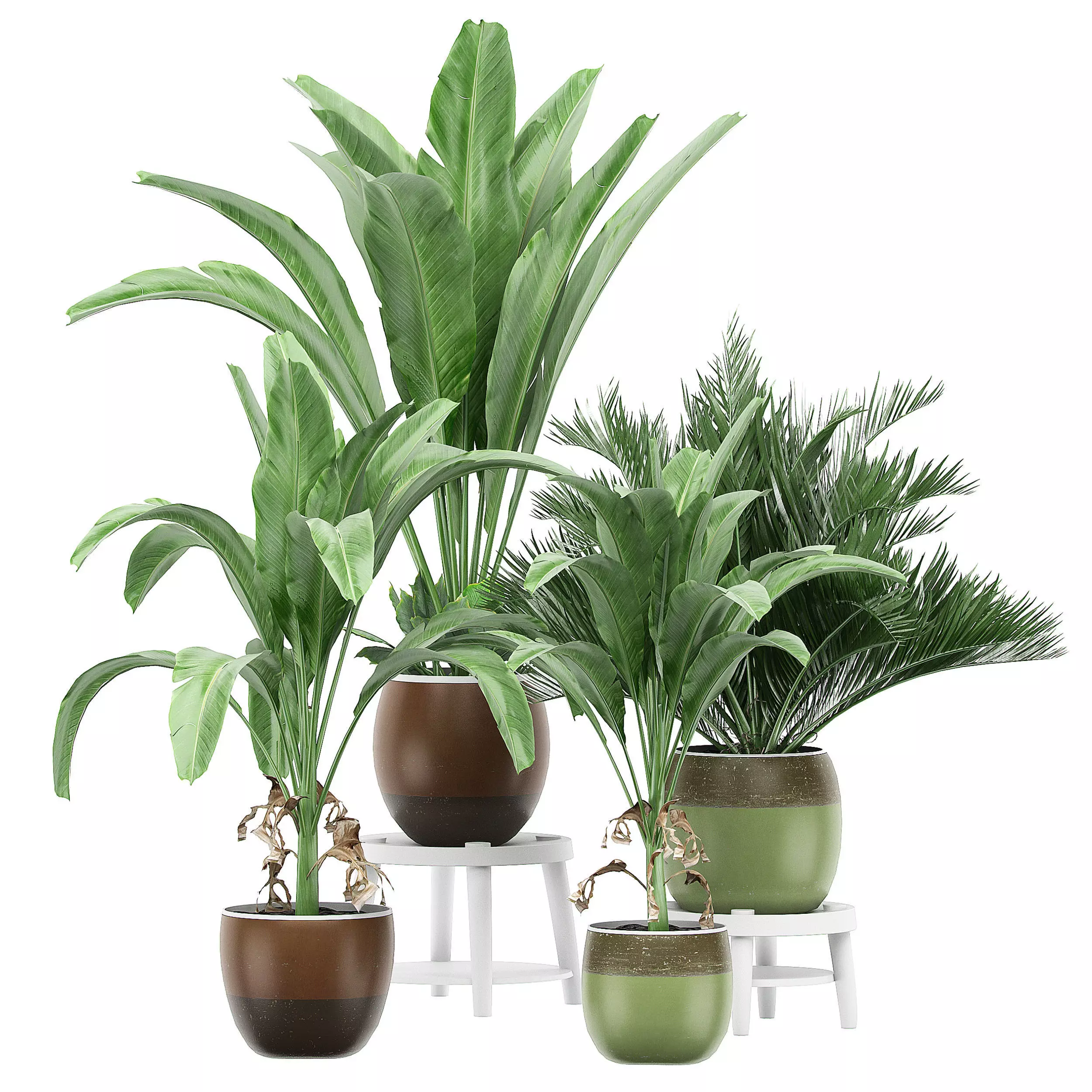 Flower Pack 134 3D model