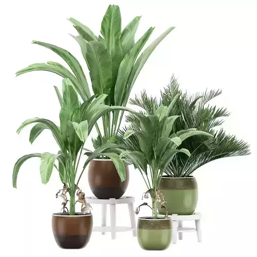 Flower Pack 134 3D model