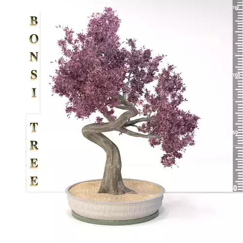 BONSI TREE