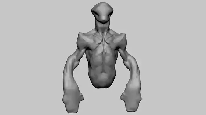 Creature Torso