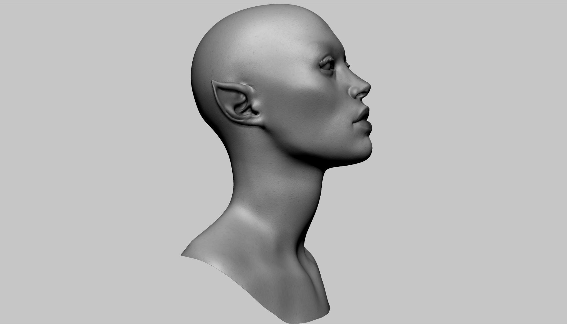 Female Head v9 3D model_2