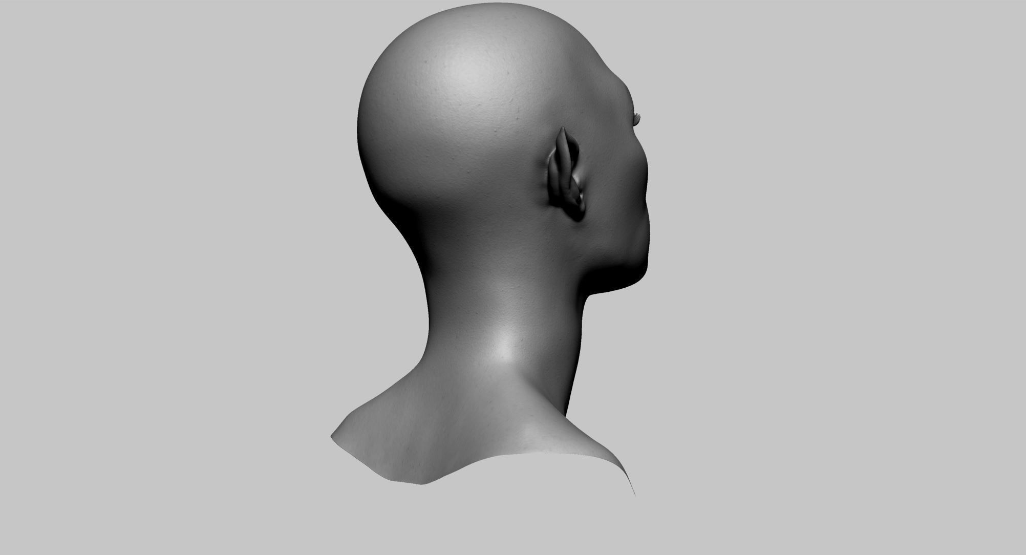 Female Head v9 3D model_3