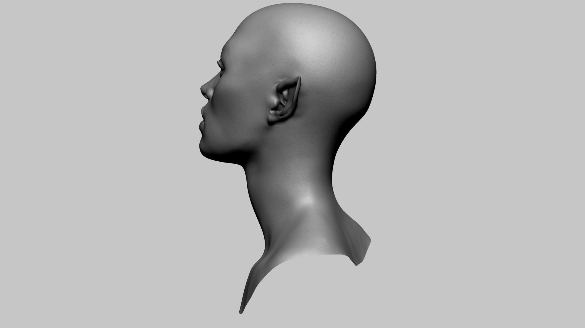 Female Head v9 3D model_5