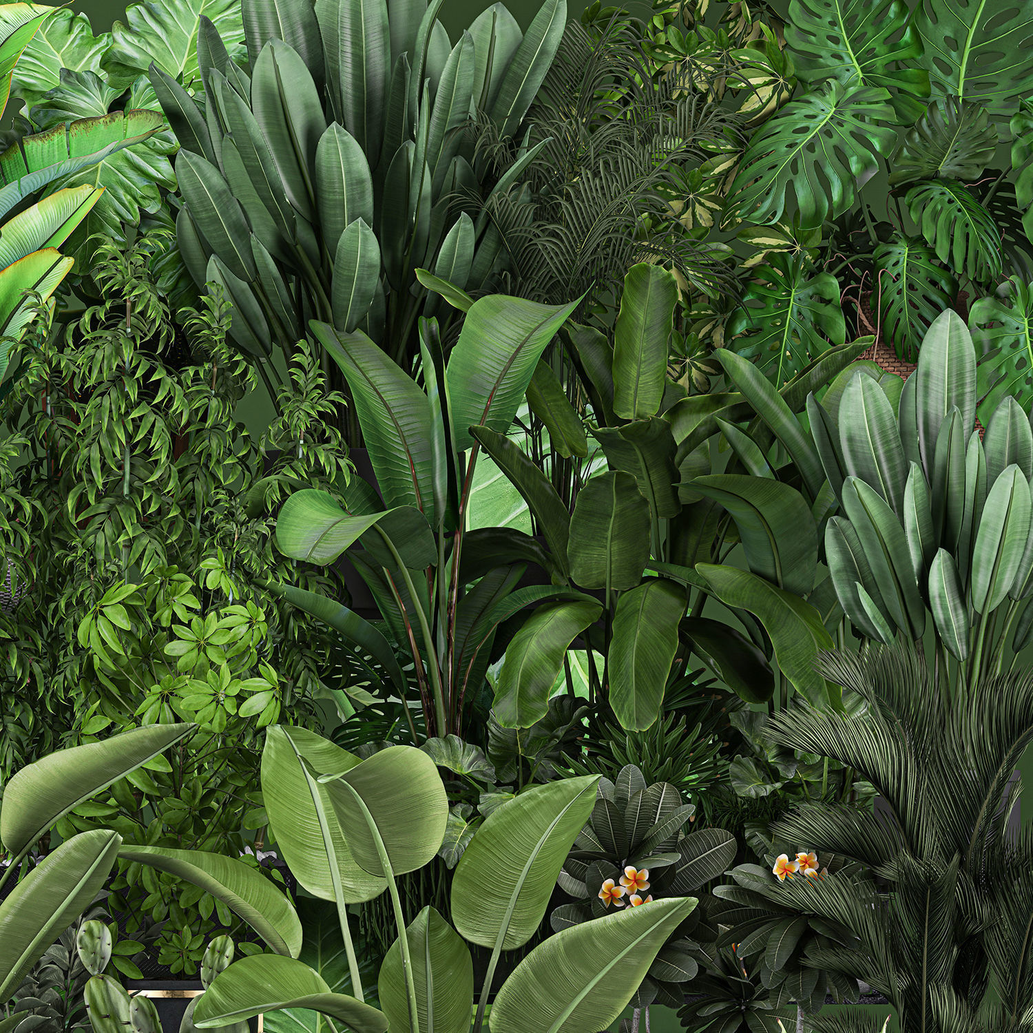 Collection of plants of 20 pieces SET 3 3D model_5