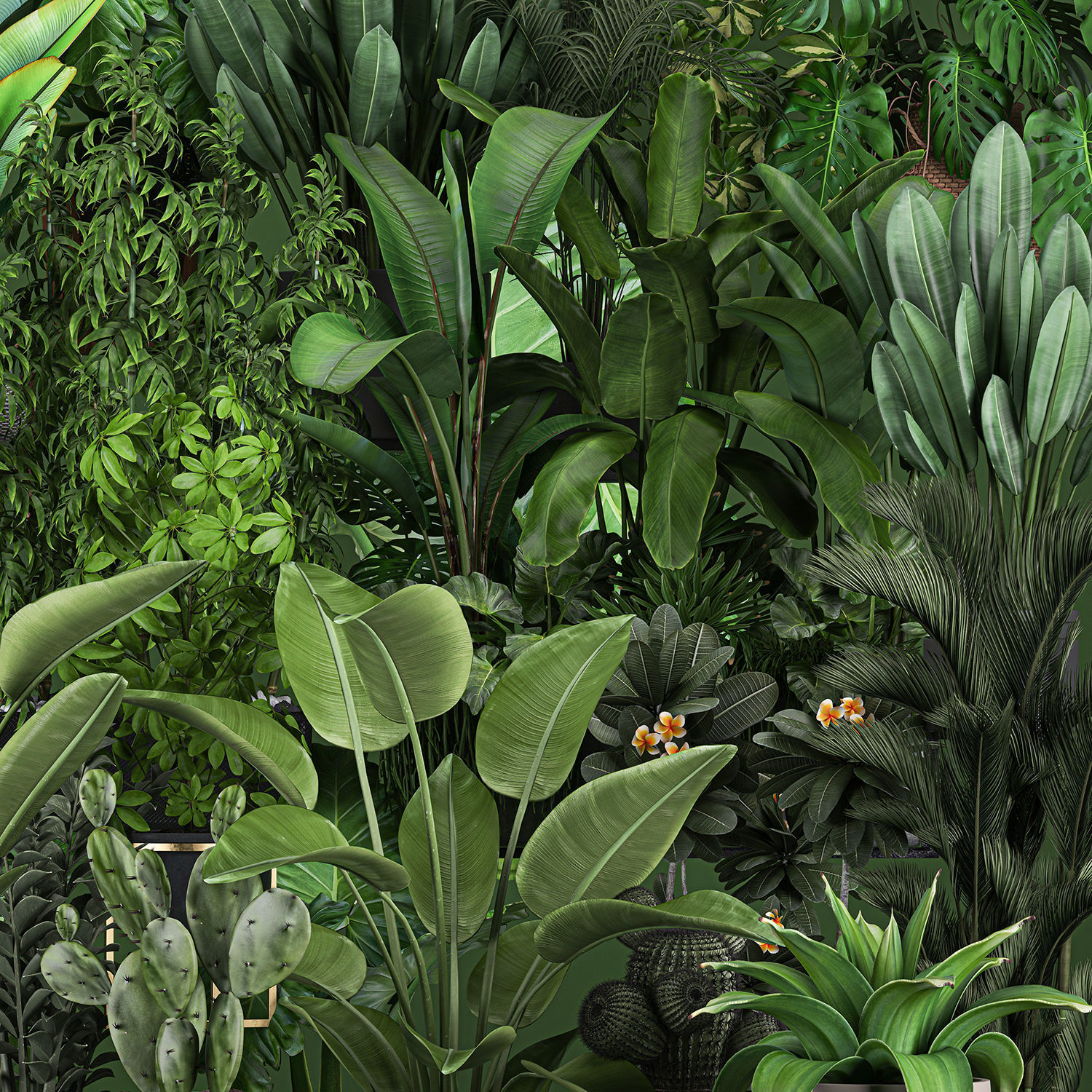 Collection of plants of 20 pieces SET 3 3D model_6