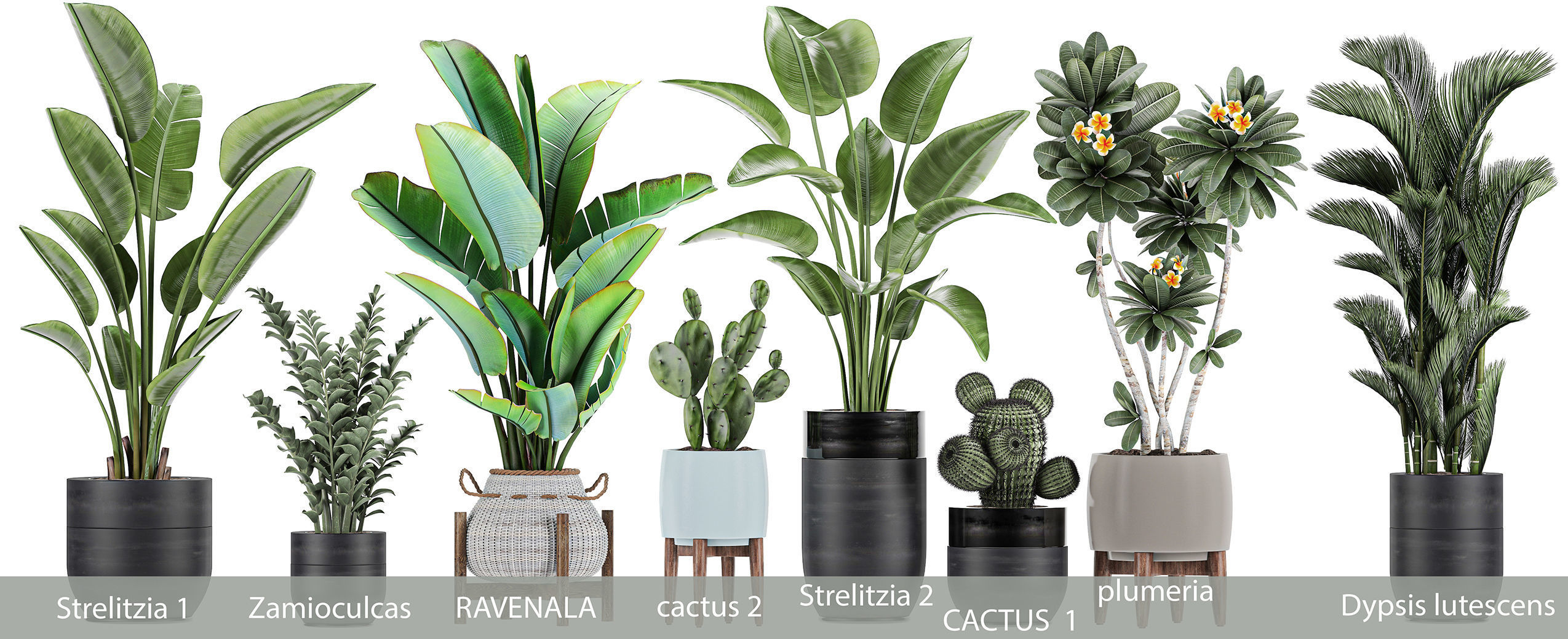 Collection of plants of 20 pieces SET 3 3D model_4